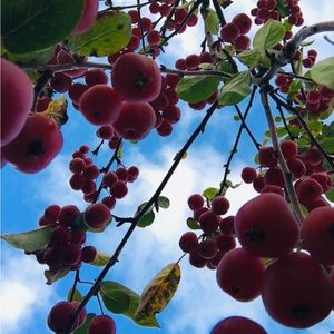 Meet your Posher, Tabitha